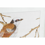 Painting DKD Home Decor 60 x 2,5 x 60 cm Bird Shabby Chic (4 Pieces)-2