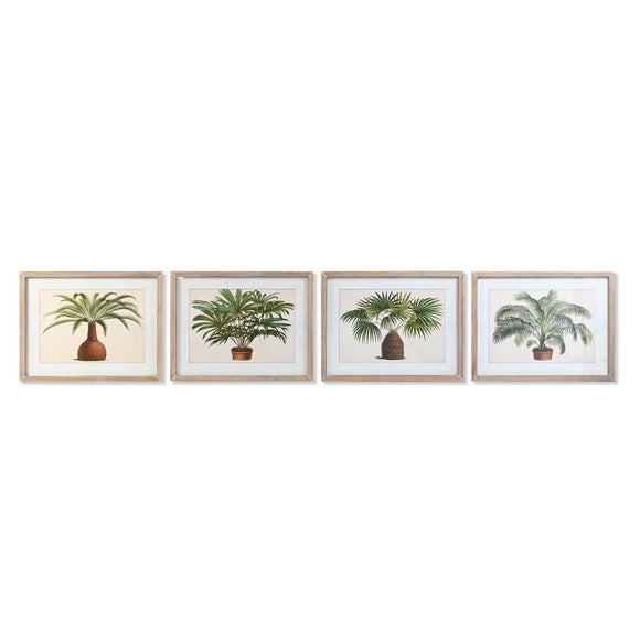 Painting DKD Home Decor 65 x 2 x 50 cm Palms Tropical (4 Pieces)