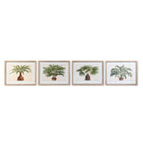 Painting DKD Home Decor 65 x 2 x 50 cm Palms Tropical (4 Pieces)
