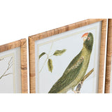 Painting DKD Home Decor 50 x 2,5 x 60 cm Tropical Birds (4 Pieces)-1