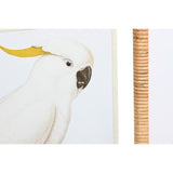 Painting DKD Home Decor 50 x 2,5 x 60 cm Tropical Birds (4 Pieces)-2