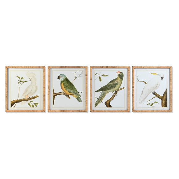 Painting DKD Home Decor 50 x 2,5 x 60 cm Tropical Birds (4 Pieces)-0