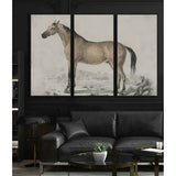 Painting DKD Home Decor Horse (180 x 4 x 120 cm)-1