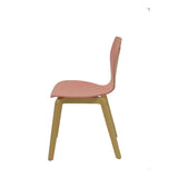 Reception Chair Buendia Royal Fern 2325RSH Pink Light brown (2 uds)-4